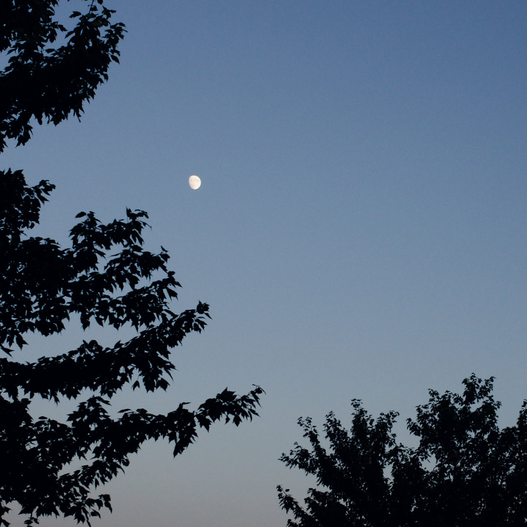 magic hour sky with moon